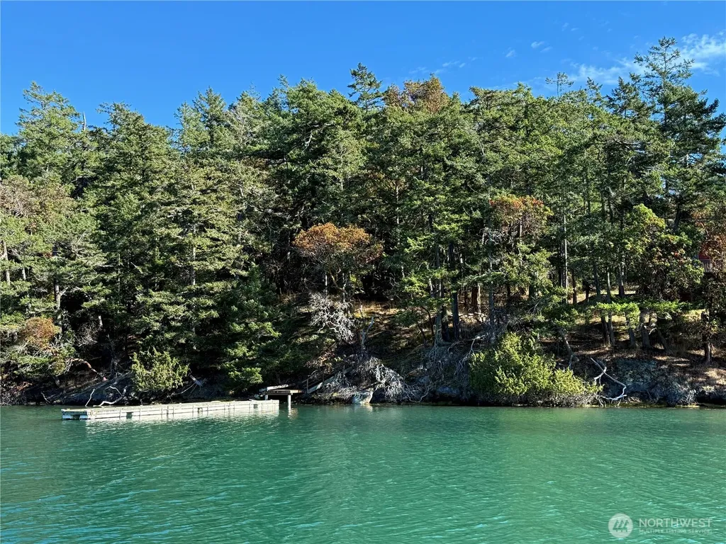 0 Lot 25 Henry Island Henry Island WA 98250