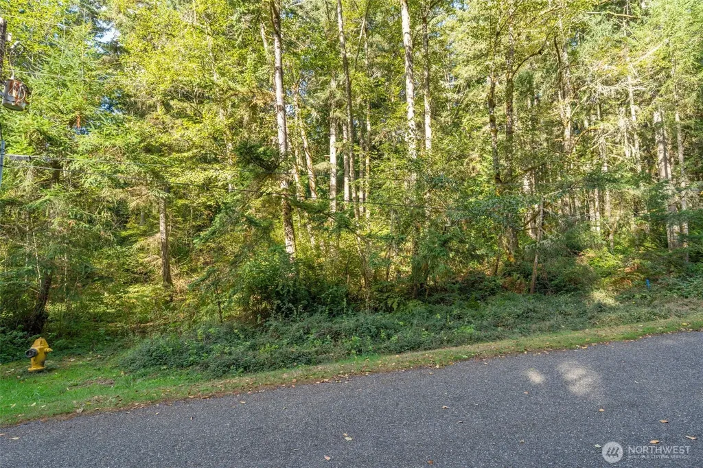 10602 Vantage Drive Anderson Island WA 98303