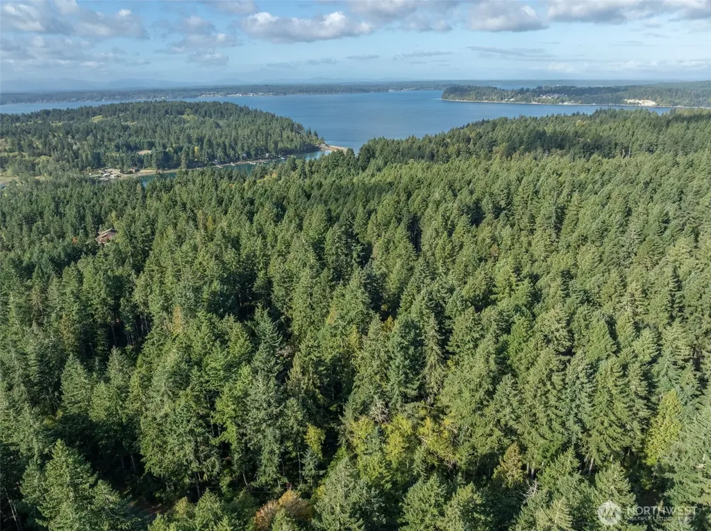10602 Vantage Drive Anderson Island WA 98303