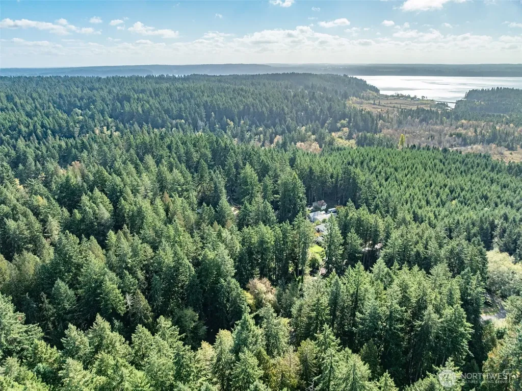 10602 Vantage Drive Anderson Island WA 98303
