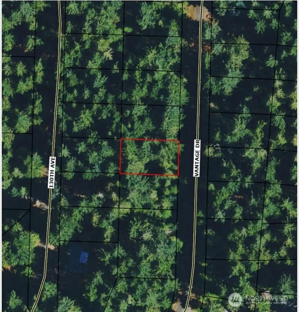 10602 Vantage Drive Anderson Island WA 98303