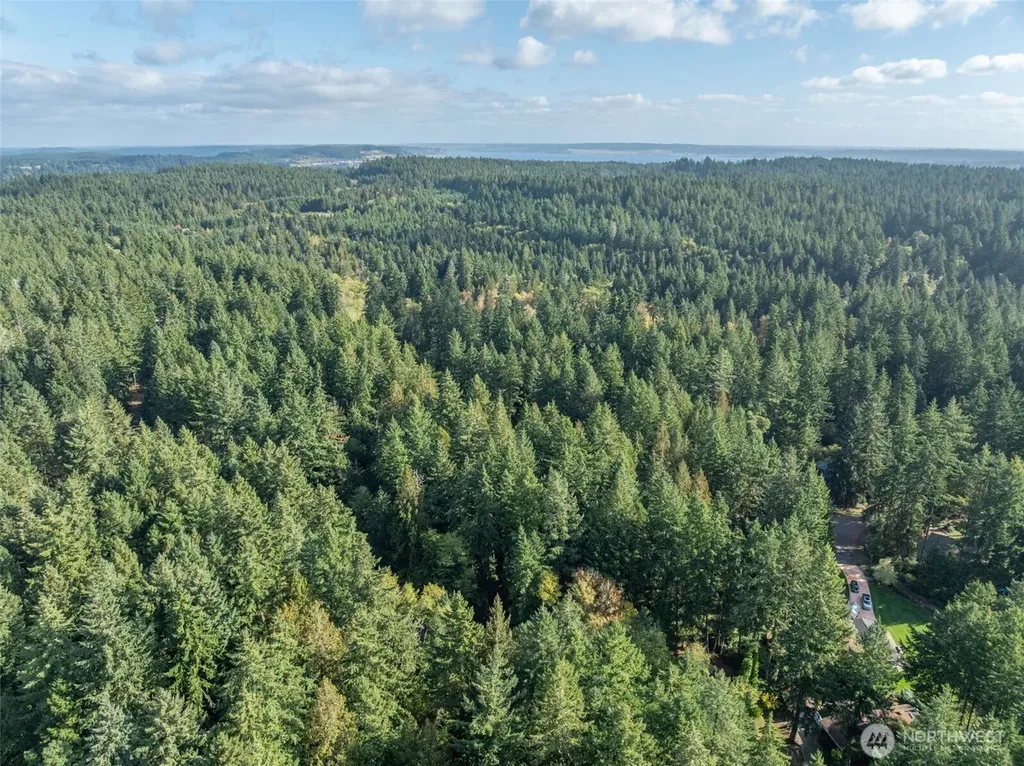 10602 Vantage Drive Anderson Island WA 98303