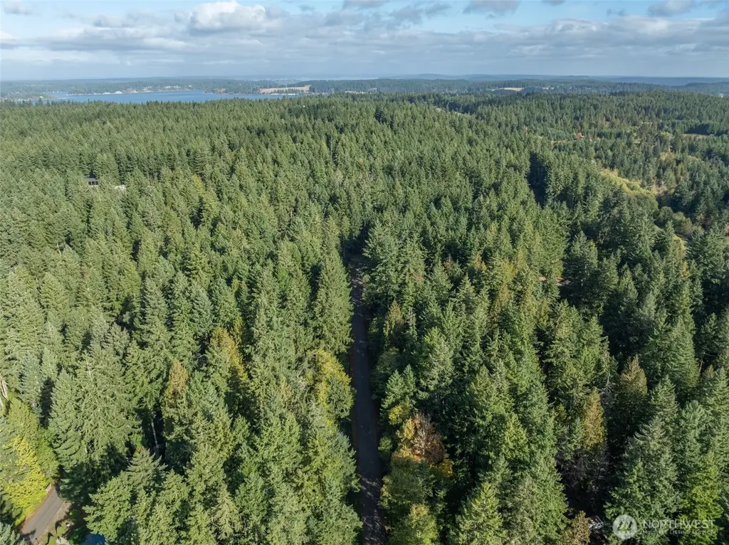 10602 Vantage Drive Anderson Island WA 98303