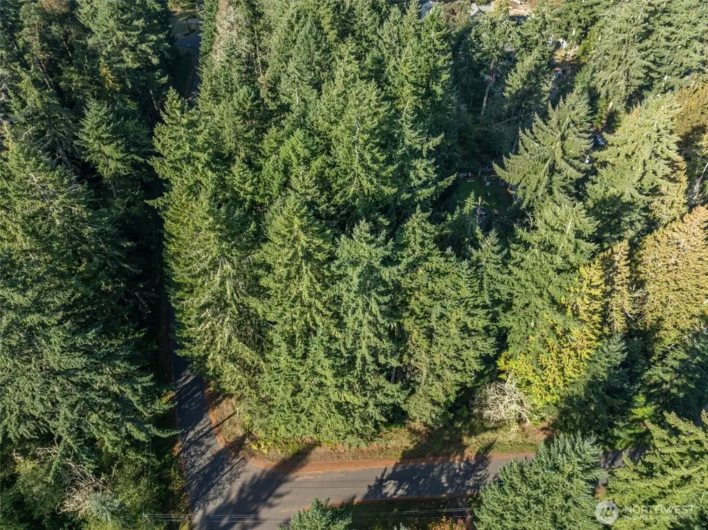 10102 104th Avenue Anderson Island WA 98303