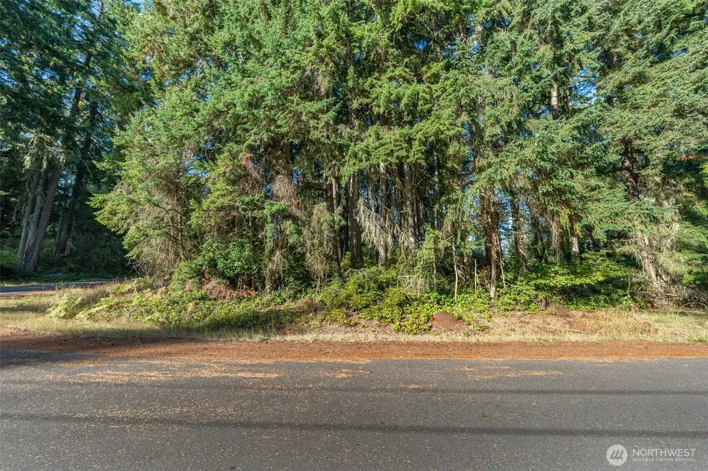 10102 104th Avenue Anderson Island WA 98303