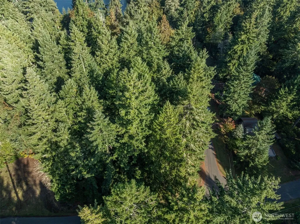 10102 104th Avenue Anderson Island WA 98303
