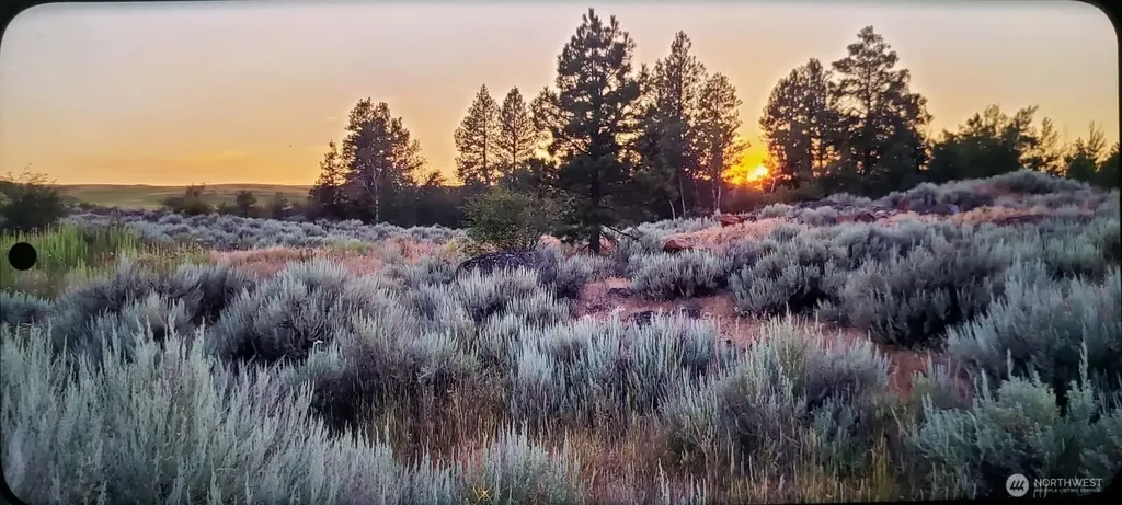 0 S Harrison Road W Spokane WA 99226