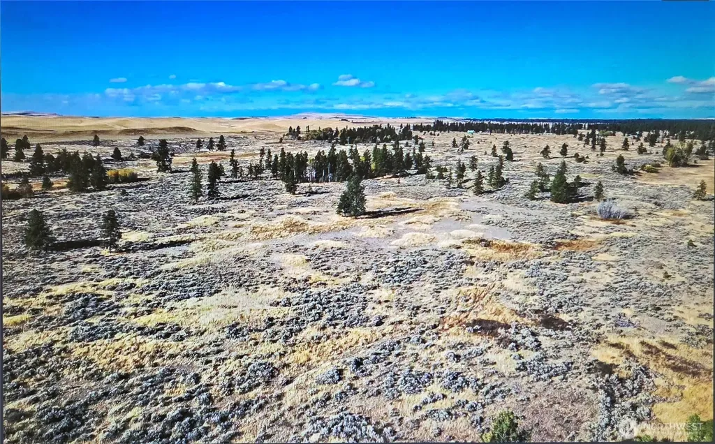 0 S Harrison Road W Spokane WA 99226