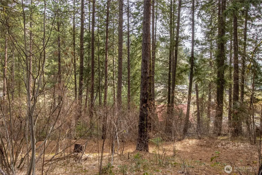 1 Chumstick Highway Leavenworth WA 98826