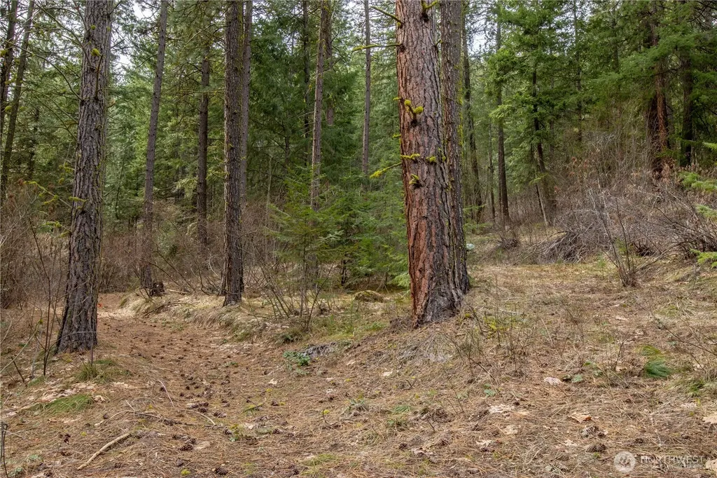 1 Chumstick Highway Leavenworth WA 98826
