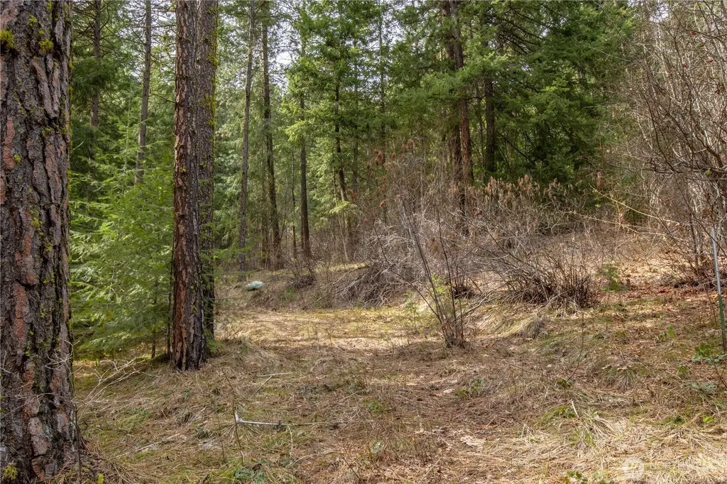 1 Chumstick Highway Leavenworth WA 98826
