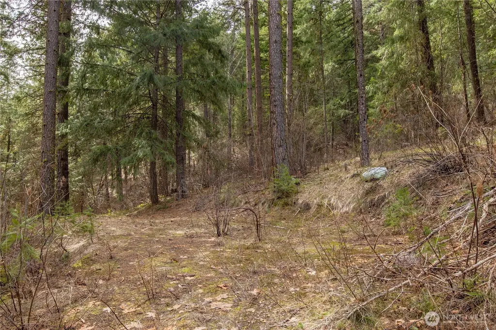 1 Chumstick Highway Leavenworth WA 98826