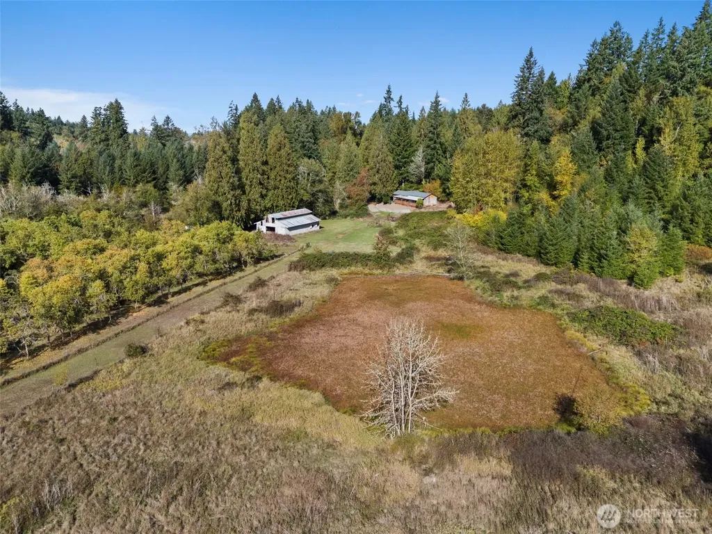 259 Tooley Road Toledo WA 98591