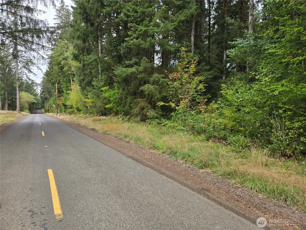 0 Lund Road Cosmopolis WA 98537