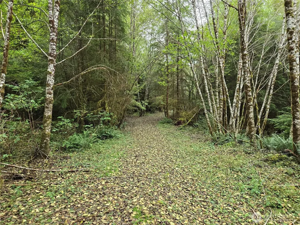 0 Lund Road Cosmopolis WA 98537