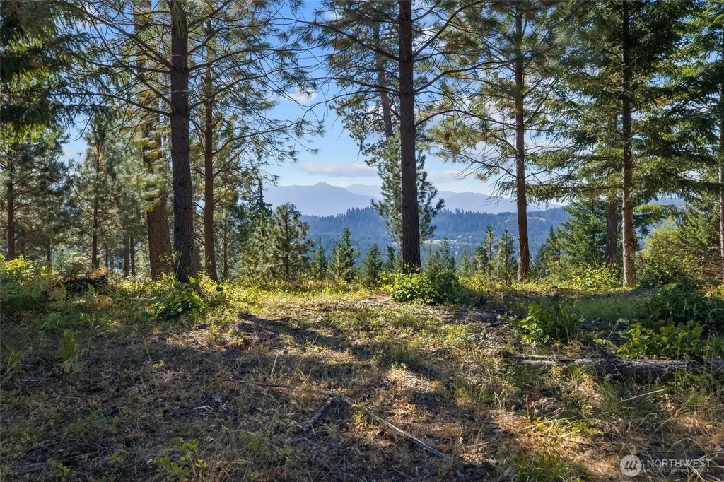 9 Red Sky Way Cle Elum WA 98922