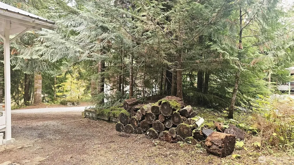 45303 Tillicum Trail Concrete WA 98237