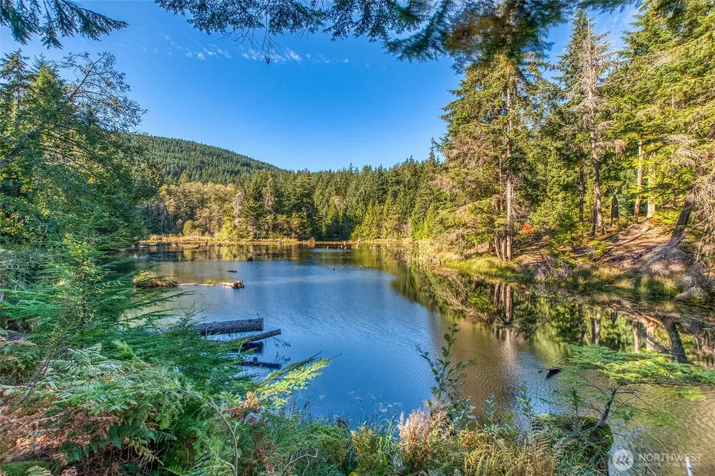 212 Eagle Lake Lane Orcas Island WA 98280