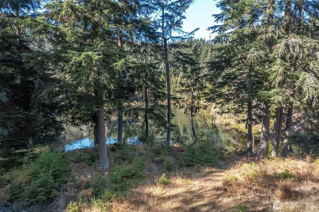 212 Eagle Lake Lane Orcas Island WA 98280