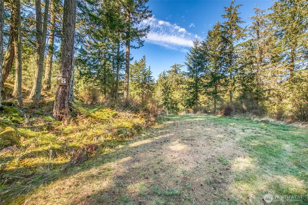 212 Eagle Lake Lane Orcas Island WA 98280