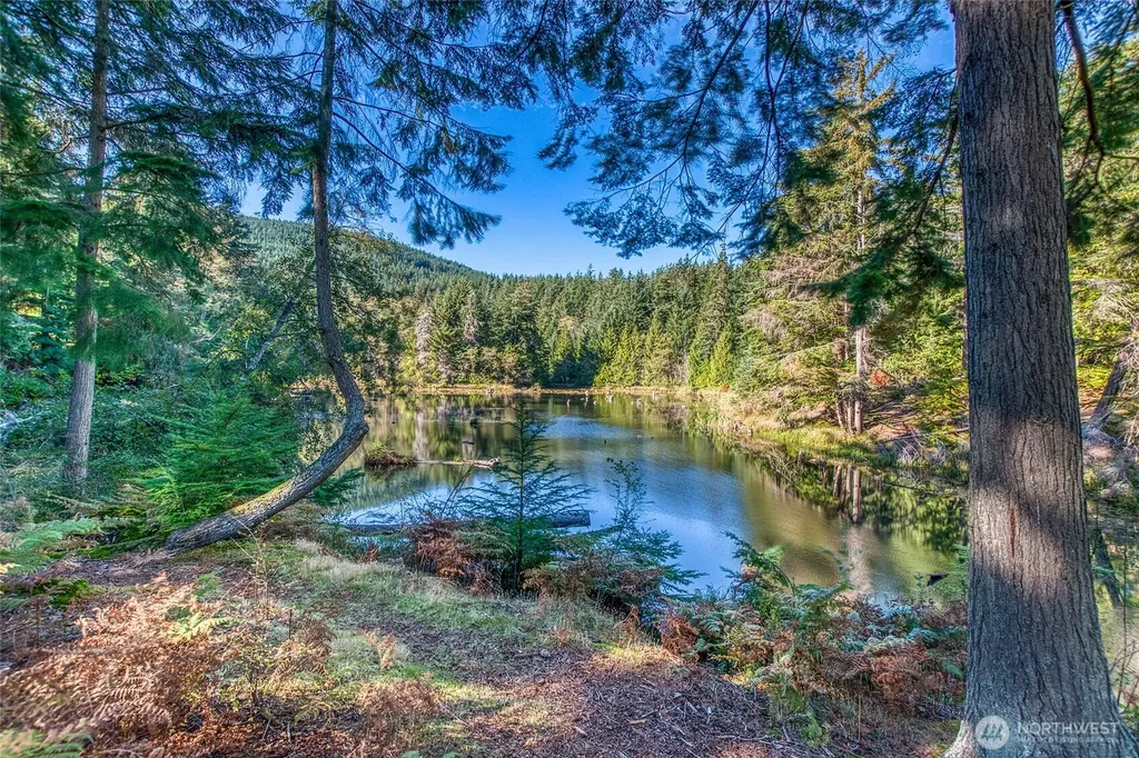 212 Eagle Lake Lane Orcas Island WA 98280