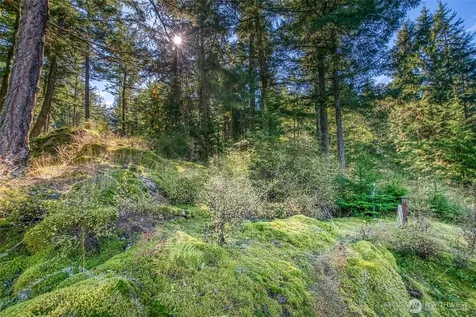 212 Eagle Lake Lane Orcas Island WA 98280