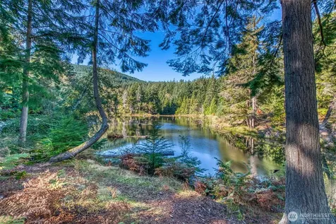 212 Eagle Lake Lane Orcas Island WA 98280