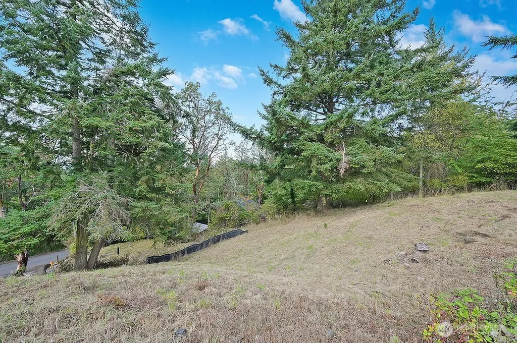 9999 Maple Parcel A Street Port Townsend WA 98368
