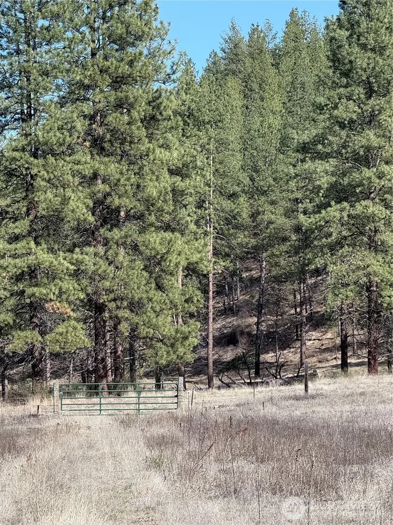 17 Sorona Way E Tonasket WA 98855