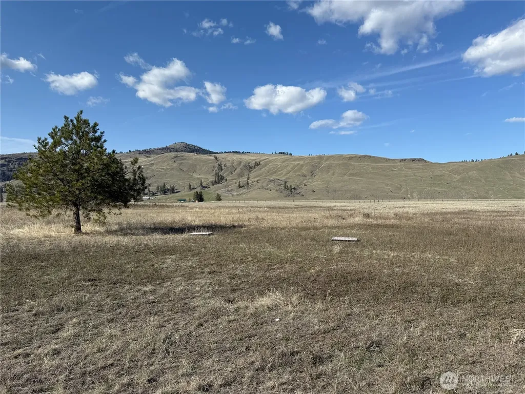 17 Sorona Way E Tonasket WA 98855