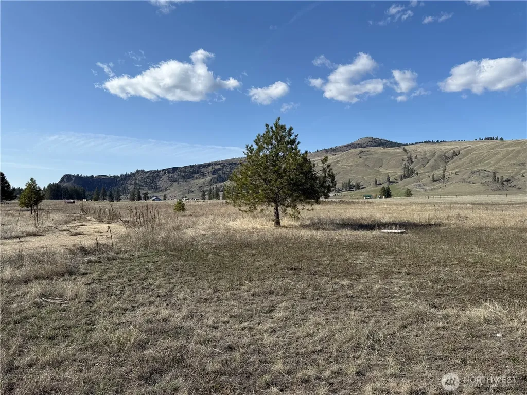 17 Sorona Way E Tonasket WA 98855