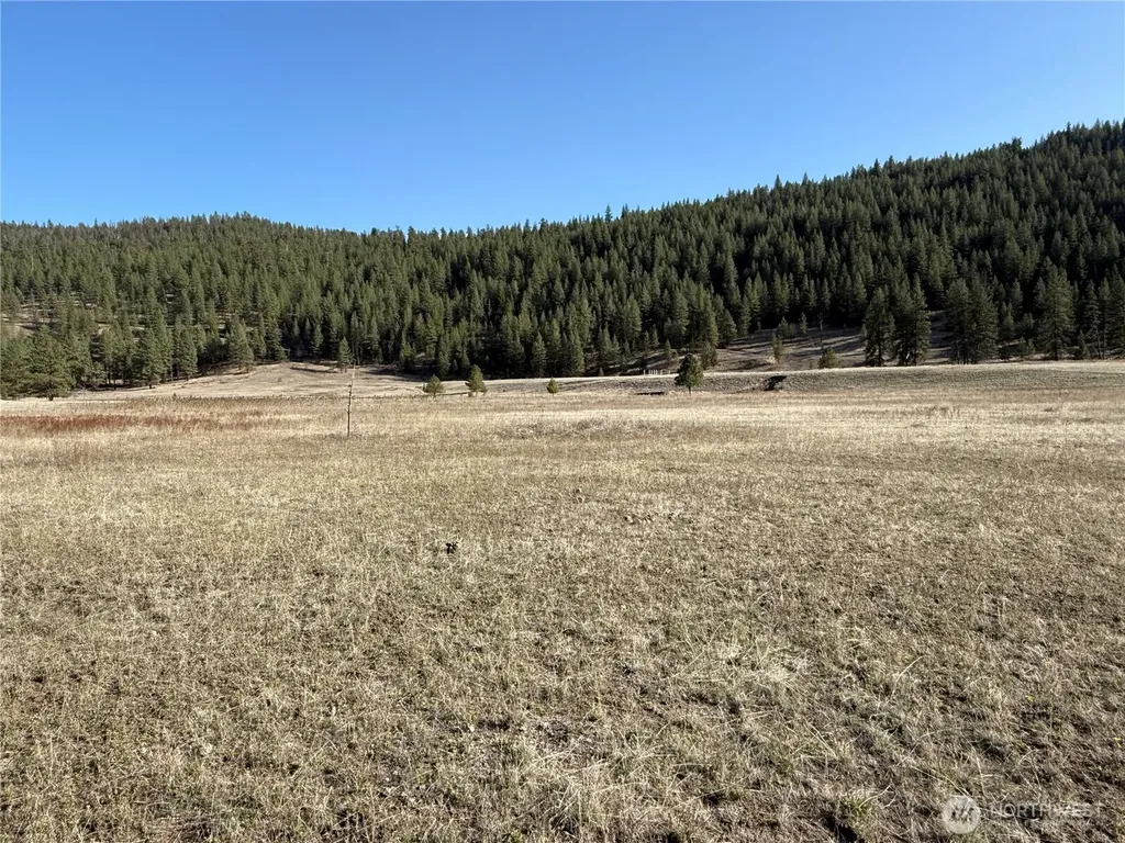 17 Sorona Way E Tonasket WA 98855