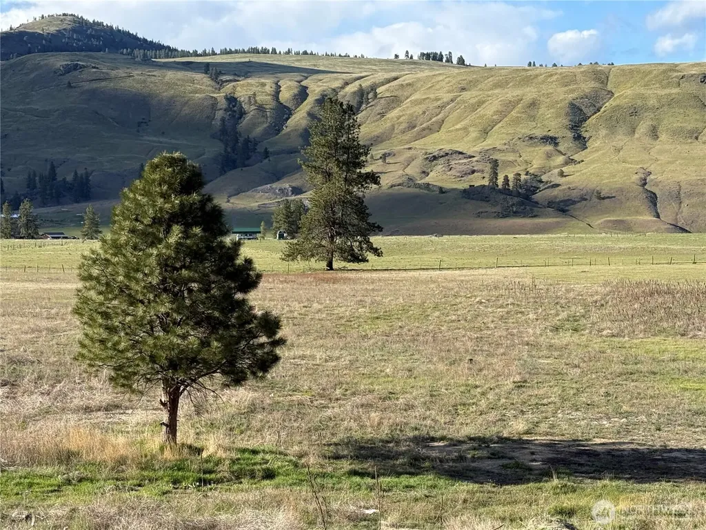 17 Sorona Way E Tonasket WA 98855