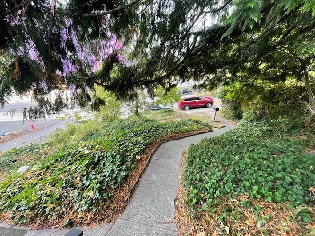 310 E Ivy Street Bellingham WA 98225