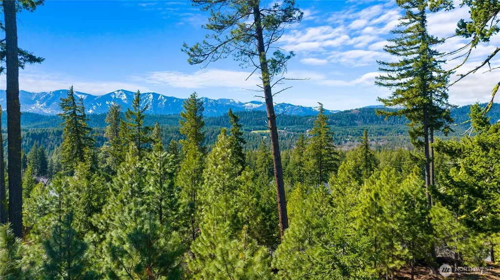 10 Red Sky Way Cle Elum WA 98922