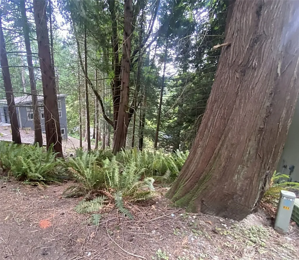 11 Granite Circle Bellingham WA 98229