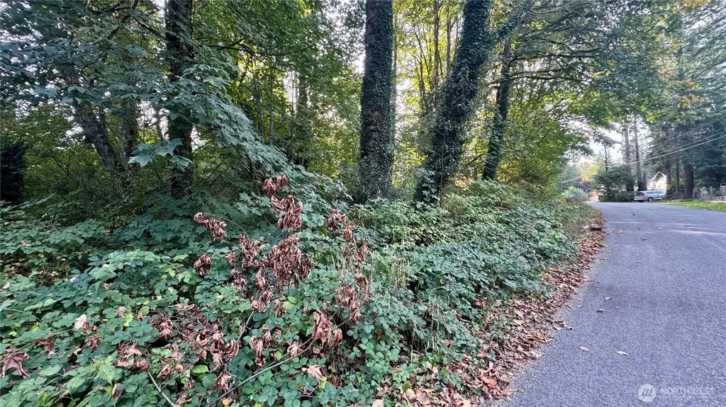 0 Cape Horn Drive Concrete WA 98237