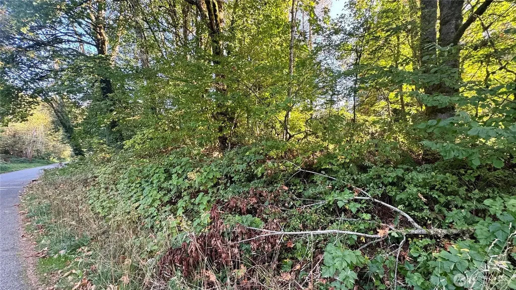 0 Cape Horn Drive Concrete WA 98237