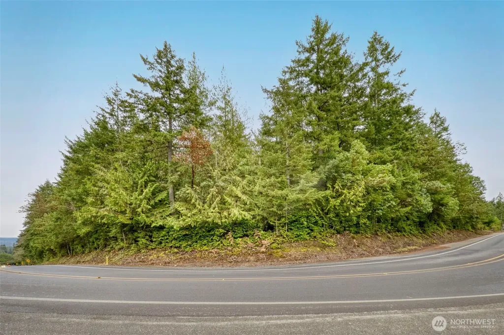 0 Dickey Road Silverdale WA 98383