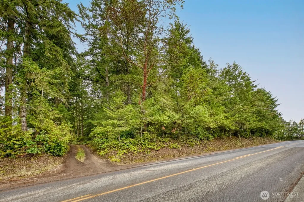 0 Dickey Road Silverdale WA 98383