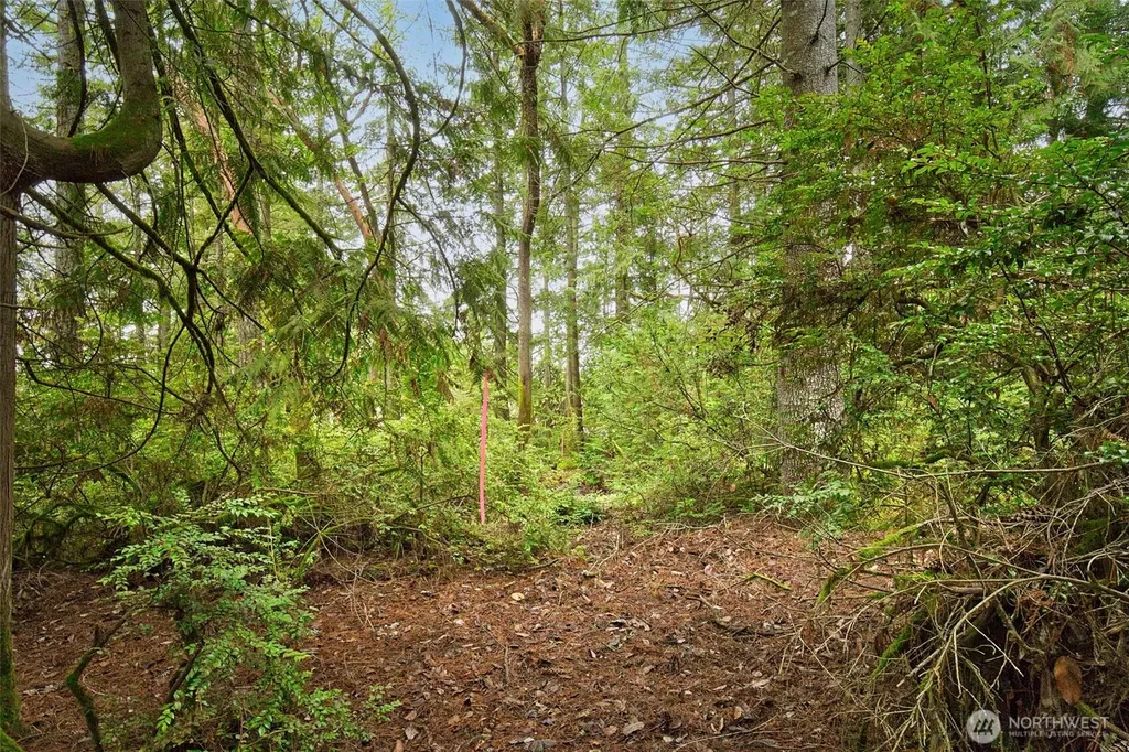 0 Dickey Road Silverdale WA 98383