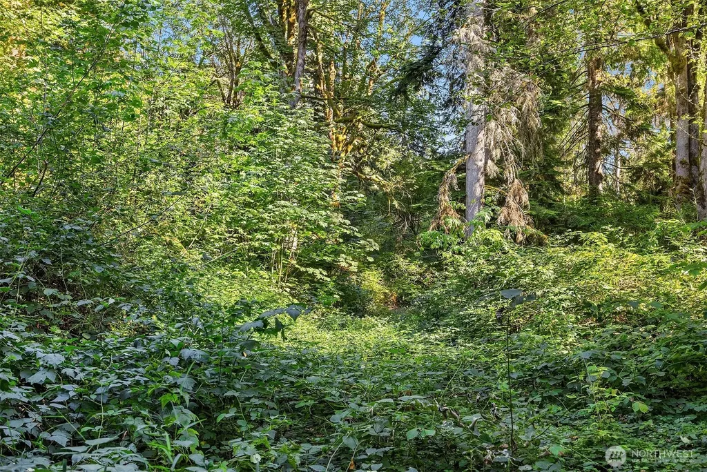 358 NE Moss Lake Road Carnation WA 98014