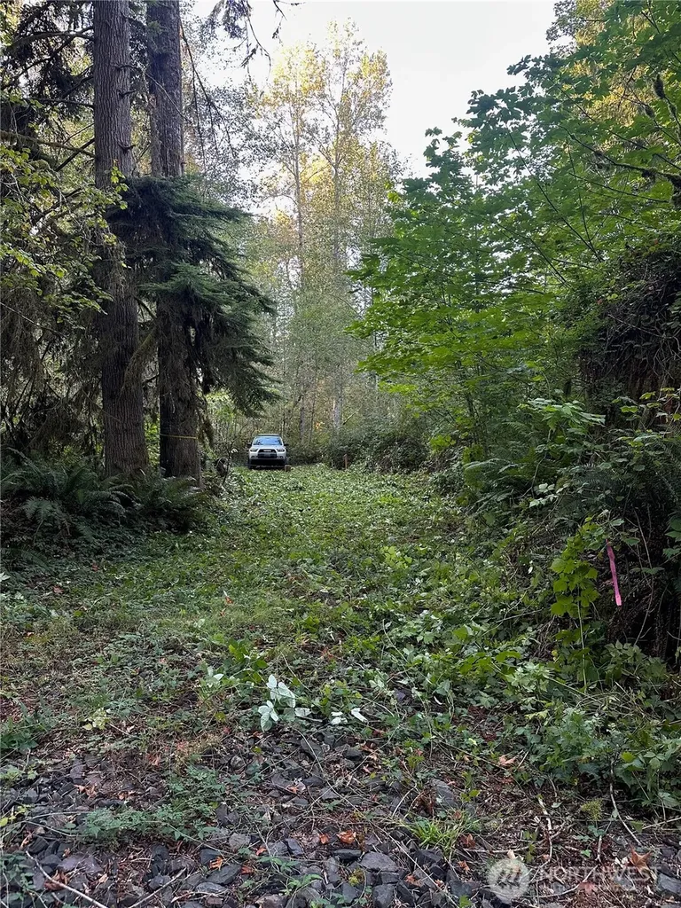 358 NE Moss Lake Road Carnation WA 98014