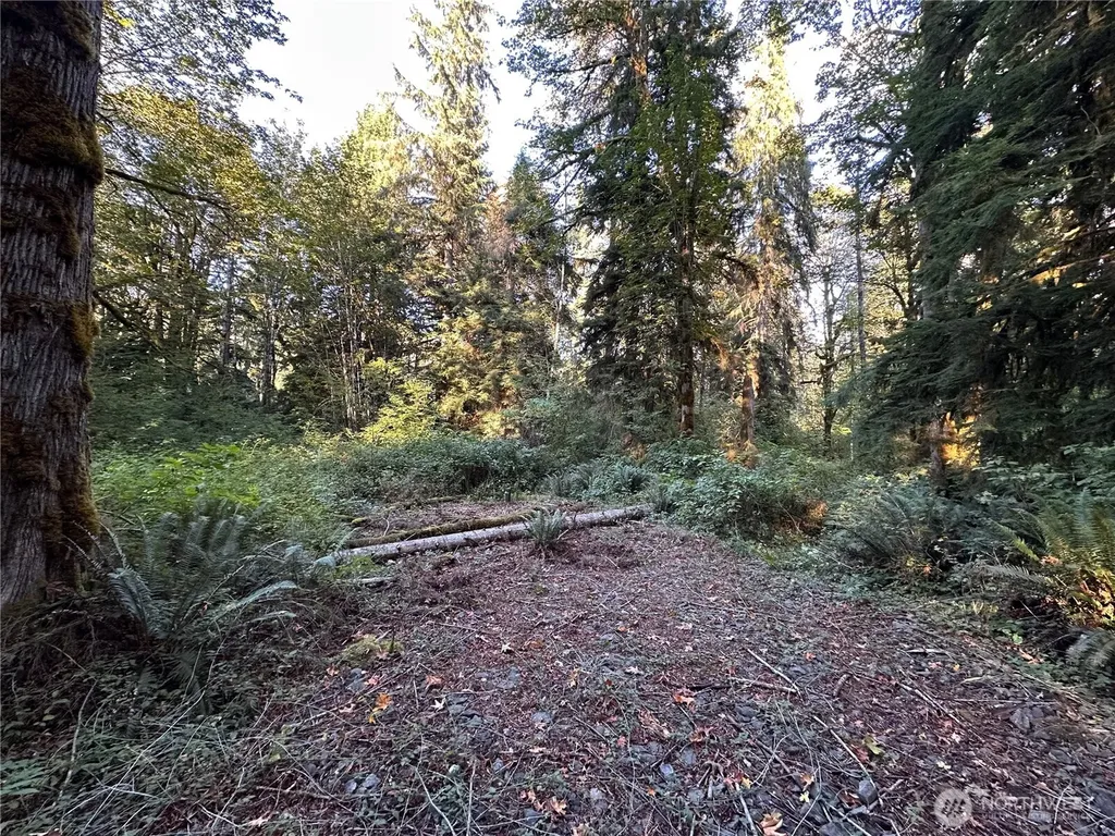 358 NE Moss Lake Road Carnation WA 98014