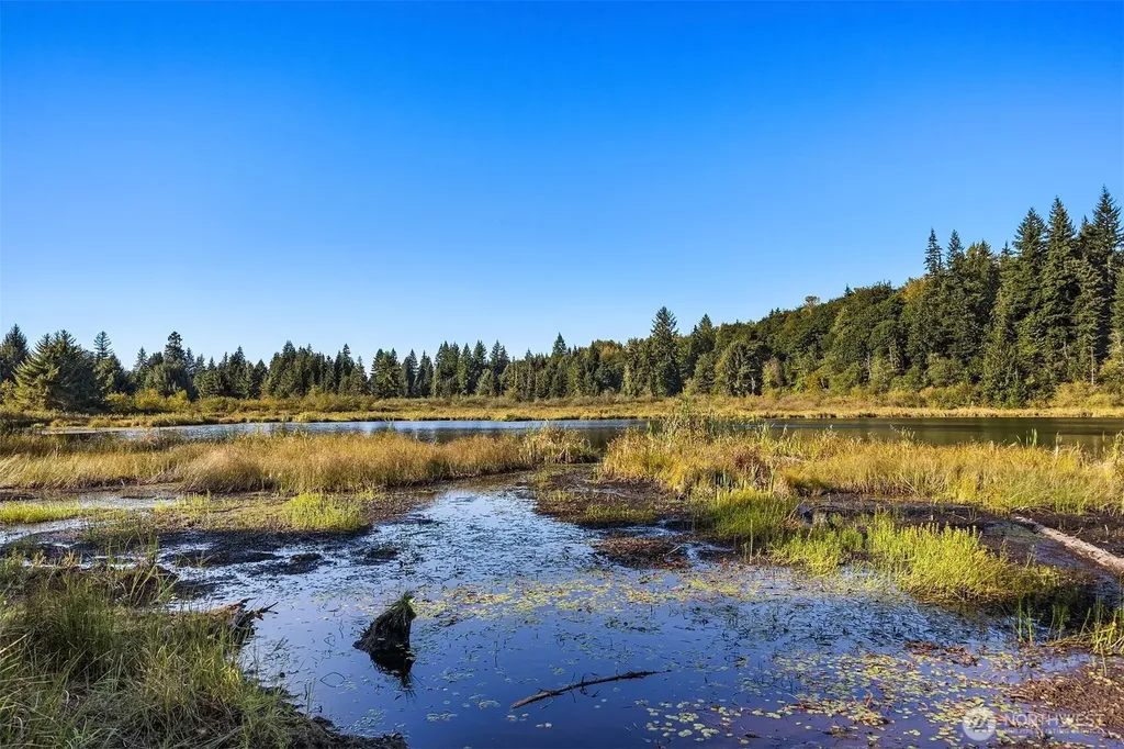 358 NE Moss Lake Road Carnation WA 98014
