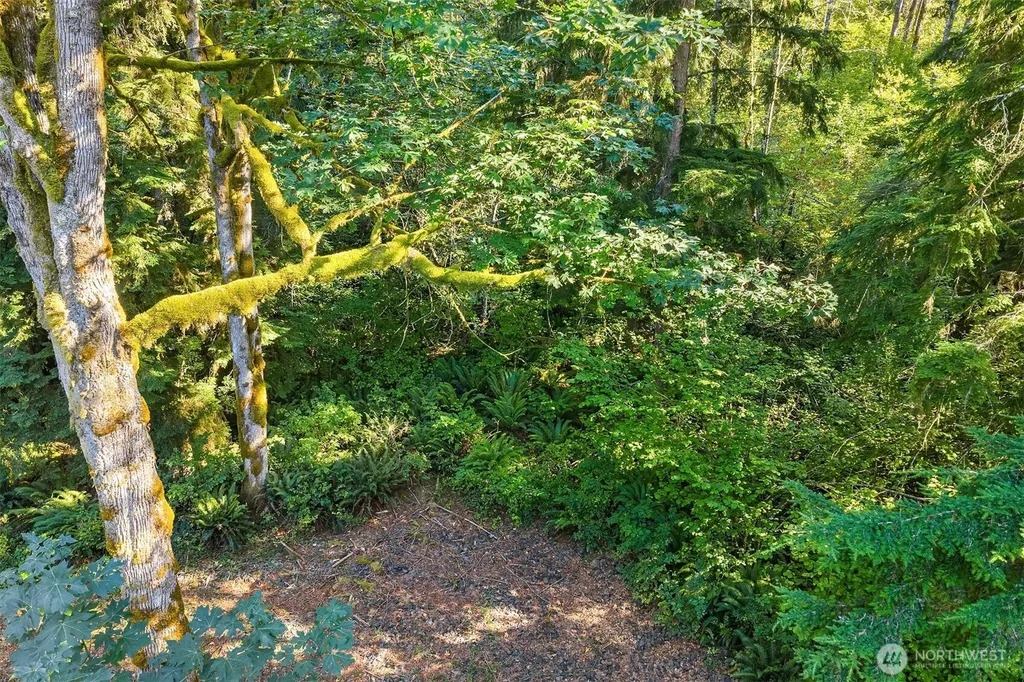 358 NE Moss Lake Road Carnation WA 98014