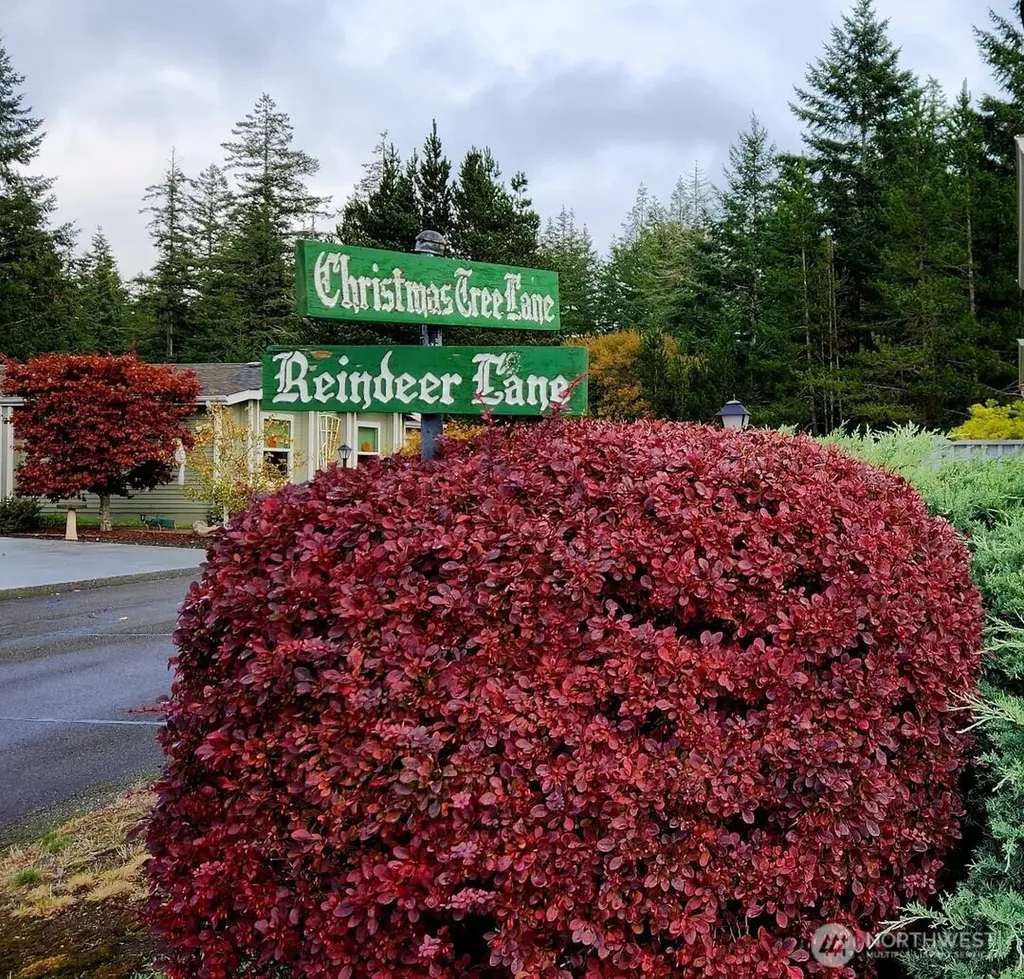 19 Christmas Tree Lane Shelton WA 98584