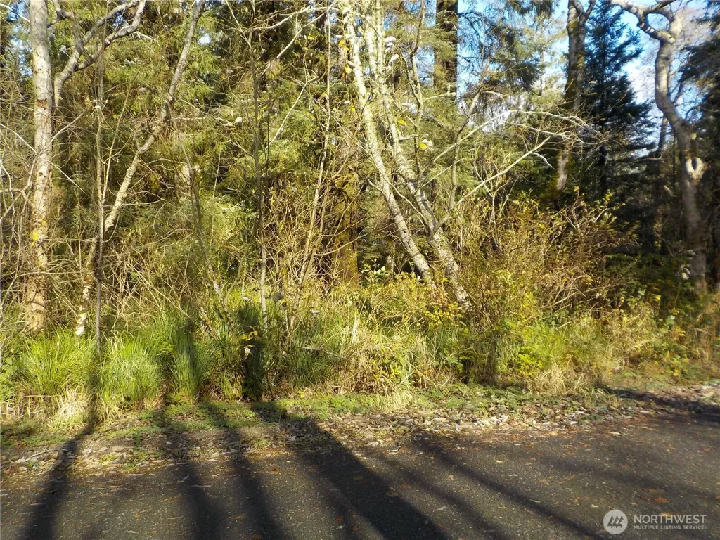 12 Third St W Chinook WA 98614