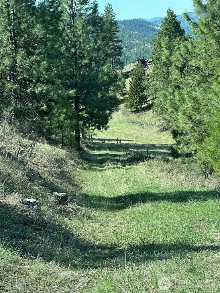 54 Hardrock Road Republic WA 99166