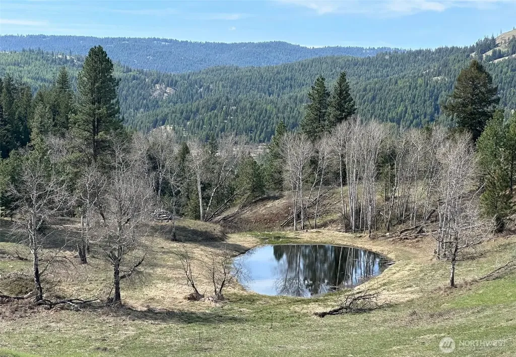 54 Hardrock Road Republic WA 99166